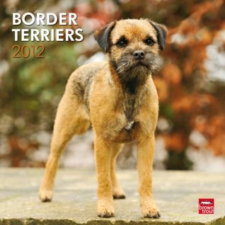 Border Terriers 2012 Square 12X12 Wall Calendar NOT A BOOK Border Terriers 2012 Square 12X12 Wall Calendar NOT A BOOK