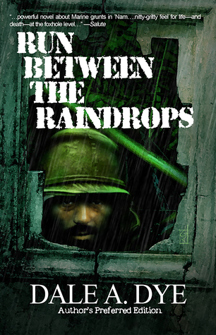 Run Between the Raindrops by Dale Dye | Books in Review