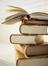 A Novel Idea: a NYC Bookclub
