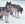 wolf lovers group