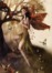 Fairy RP