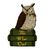 The Wise Owl Bookstore