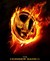 The Hunger Games ~ Girl on Fire