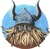 Vikings RP