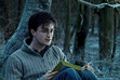 Hogwarts School of Witchcraft and Wizardry