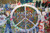 Imagine Peace