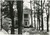 On the Southern Literary Trail