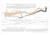 Information Design & Data Visualization