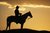 The Wild West