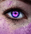 Werewolves, Vampires, and Druids Oh My!