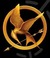We Love The Hunger Games!