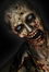 Zombie Web Projekt