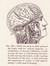 The Study of the Mind: A Psychological Book Club