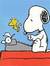Y.A WRITERS!