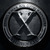 The Xavier Institute for Gifted Youngsters