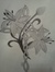 drawing by: Brooke M