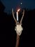 Magic, Occult & Witchcraft