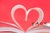 Young Adult Contemporary Romance