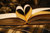 Lunch and Lit Ladies' Book Club of Salisbury