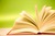 Young adult book club