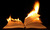 Book Explosions