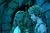Peter Pan Book Group