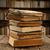 De Verenigde Girlscene Boekennerds