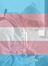 Transgender Fiction