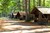 ☼ Blake Lake Summer Camp ☼
