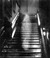 ❂❂HAUNTED HOUSE❂❂