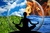 The Academy for the Extraordanarily Gifted