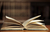 Fall for the Indie Book Challenge
