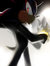Shadow the Hedgehog Lovers (HEY this is a sonic group also)