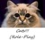 Cats!!! (Role-Play)