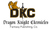 Dragon Knight Chronicles