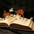 Your Book Character Roleplay