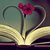 All About The Books