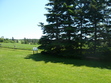 This is the view LMM would have had from her window at the Cavendish homestead where she lived while writing "Anne of Green Gables." All that is left of the house now is foundations, but the exquisite nature remains all around.