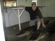 This is a pic of the gators my friend Eric and I took in September of this year. It was neat in that I am from Kentucky and this was the weekend that Florida played Kentucky in football. I went hunting Gators to make up for the Gators stomping the Wildcats!