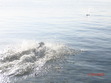 just testing out the photo up loader...lol