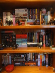 So that is what I call my 'old' bookshelf. I've had it since forever, and if you can't already tell, I'm a horse lover. ^-^

It all used to be alphabetised until I ran out of room and had to start what I call 'the stacks' - i.e. the piles of books on their sides. If there are gaps, it's because either I am reading that book at the moment or someone has borrowed it.

TOP SHELF: Some tall paperbacks, adult fiction or stuff I've saved from my mum (she has a tendancy to *shockhorror* crush books...)

MIDDLE SHELF: Yet more random paperbacks... ^-^

BOTTOM SHELF: And... wait for it... more paperbacks!! There's a gap next to COG because I'm currently reading COFA ;)
Oh, and that big red thing is a candle. It smells soooo good!!