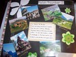 Wish Number 2 - To Travel to Europe - Tehre are many countries I would love to visit in Europs. Norway, Ireland, Italy and Germany to name a few. I love the history in Europe. To me Europe is the most beautiful place on Earth with all the rich green colors.