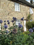 Plague Cottage