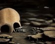 Artist Justin Comley's interpretation of the opening sub-chapter of A Circle in the Woods. This painting hangs on my wall.
Copyright Justin Comley, 2012
