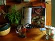 Here is my counter with assembled tools and ingredients as I take a deep breath and begin the mozzarella adventure.