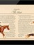 Black Beauty for iPad Chapter 2