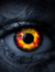 Authors of Vampire Books 5270