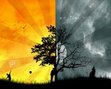 "Mere"- A Novel