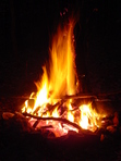 The Arsonist