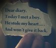 Dear Diary